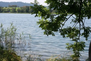 Protected: Landscape 4